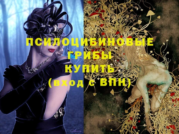 соль ск Бугульма